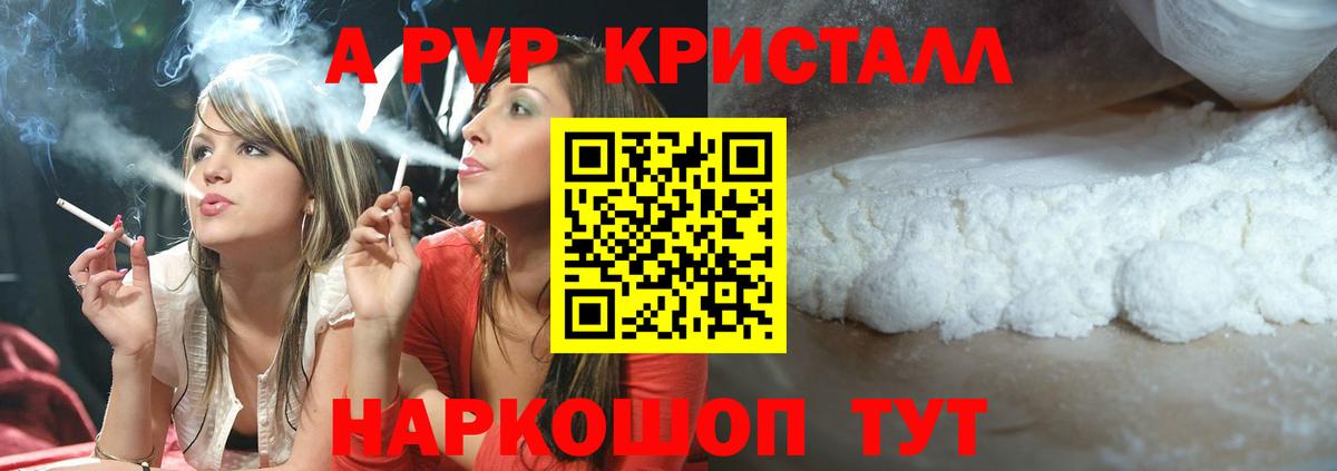 Alpha PVP СК КРИС  A PVP  Майкоп  Вход с VPN  Alpha PVP СК КРИС 