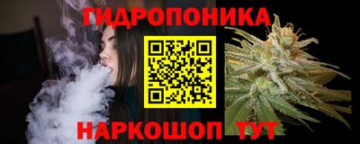 прущие крисы Камышлов