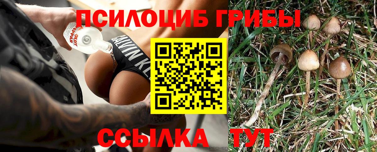 Майкоп  Псилоцибиновые грибы Magic Shrooms  Вход с VPN  где продают   Галлюциногенные грибы Psilocybe 