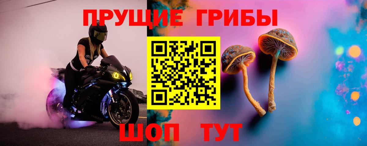 Псилоцибиновые грибы мухоморы Майкоп